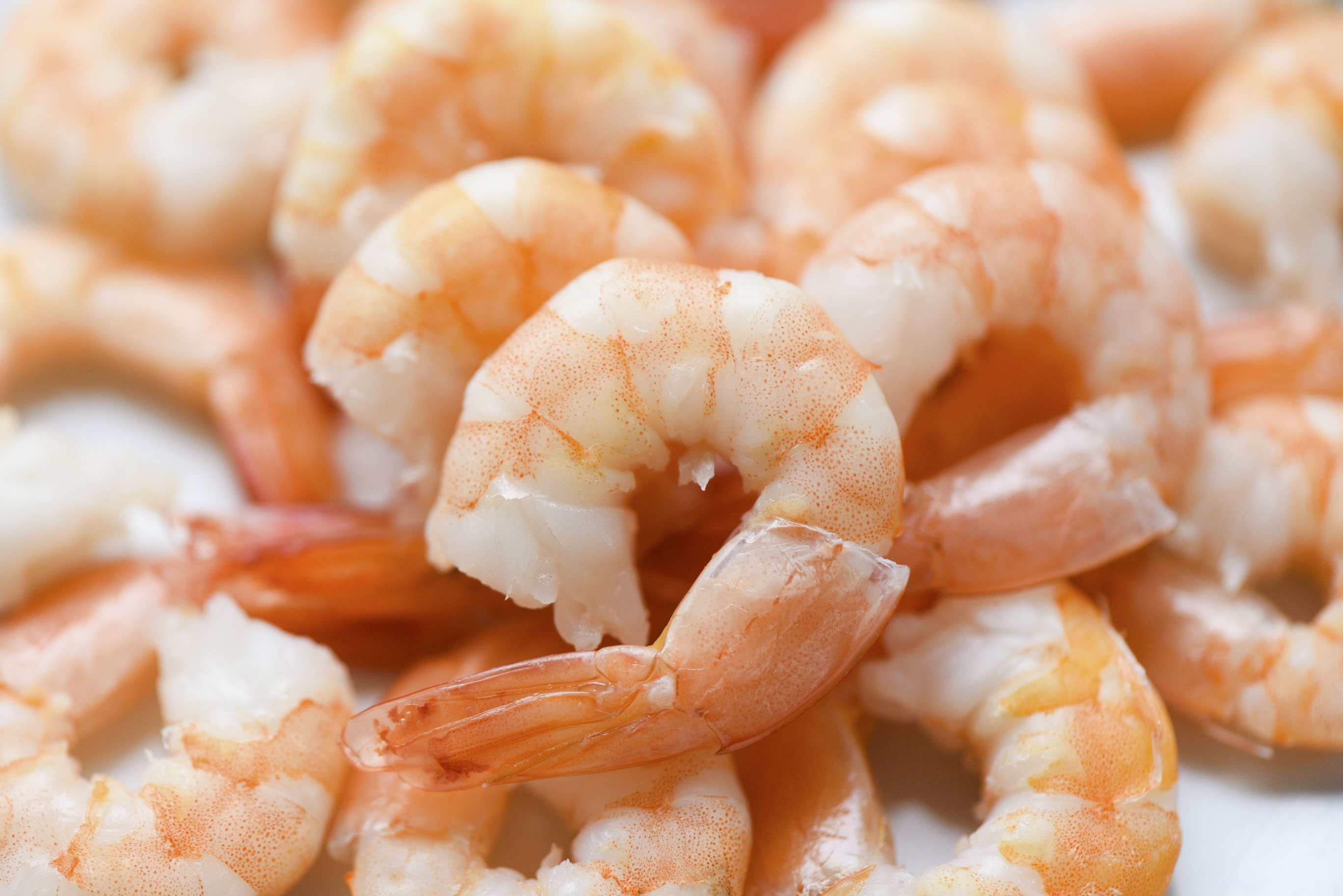 /upload/images/san-pham/seafood/bt/editted14.jpg