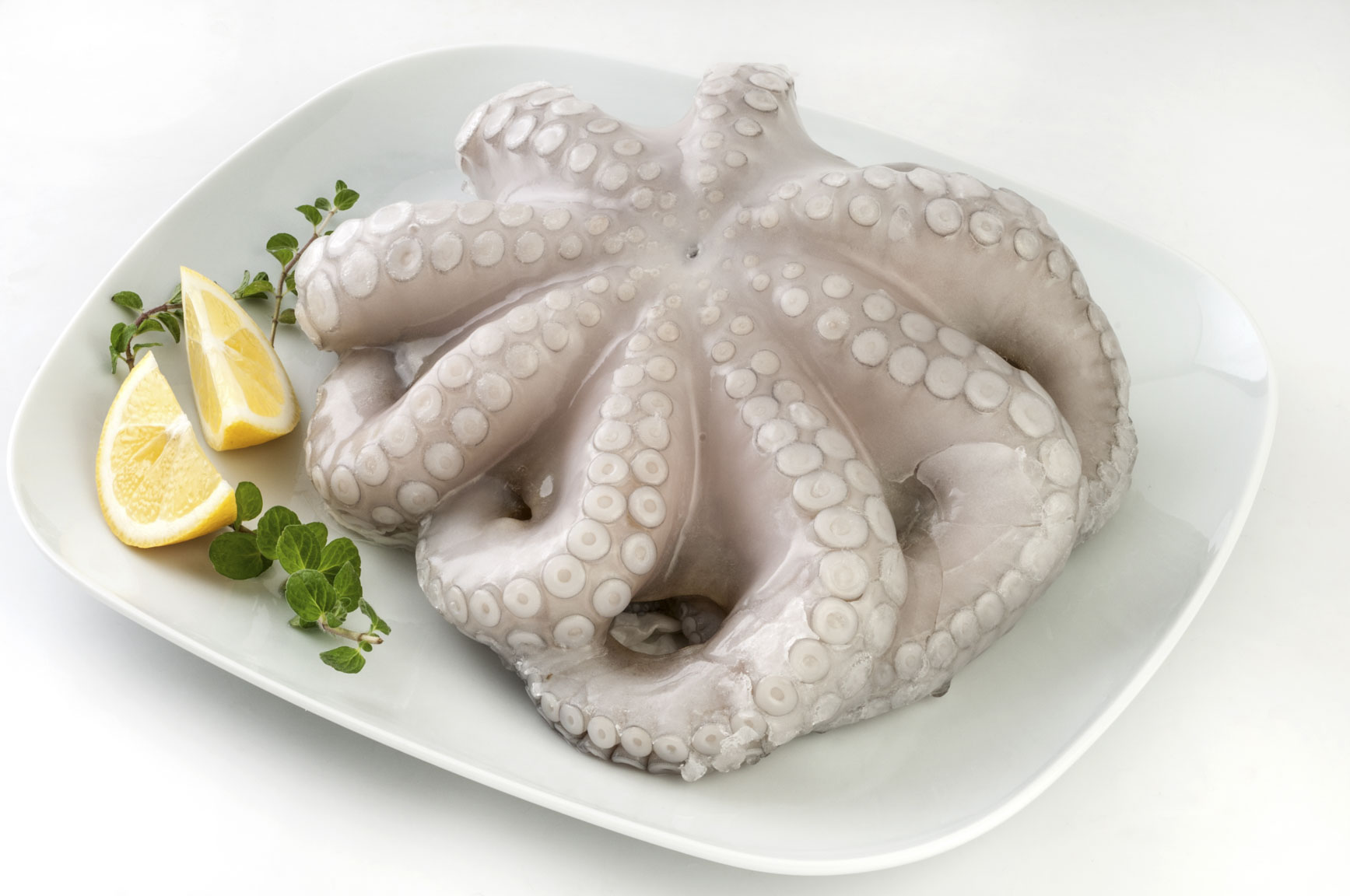 /upload/images/san-pham/seafood/octopus/octopus-editted-03.jpg